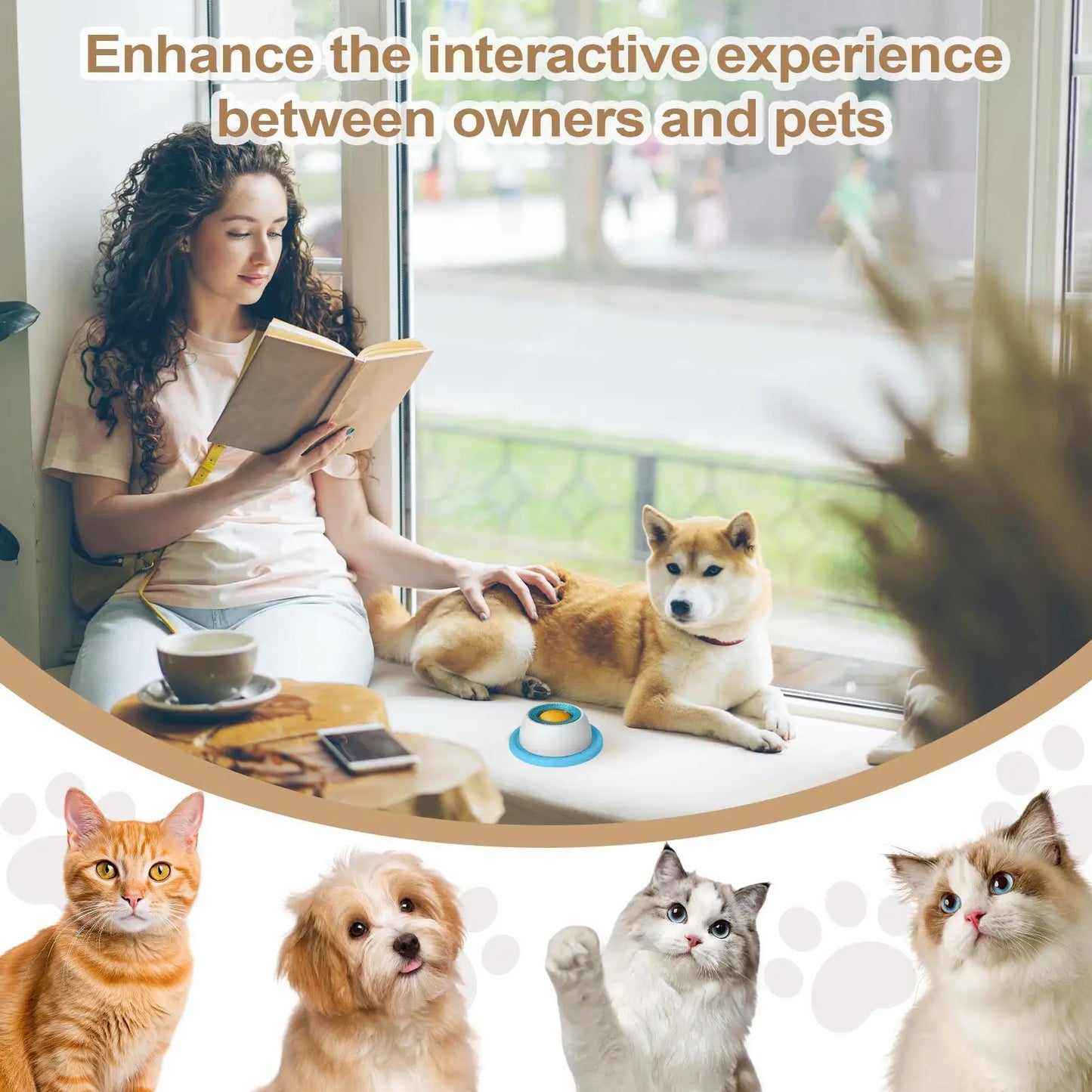 Pet Feeding Accessories Dog Treat Toy