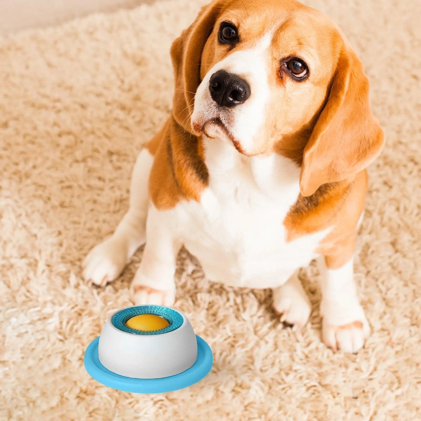 Pet Feeding Accessories Dog Treat Toy